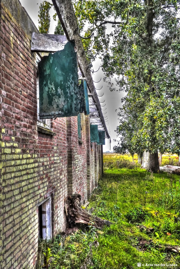 Tiengemeten_bew_tonemapped.jpg